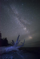 Milky Way With Beached Stump