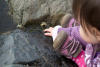 Nara With Finger In Sea Anemone