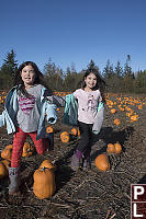 Kids In Pumpkin Patch