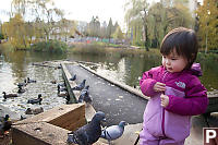 Nara With Pigeons