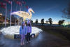 Kids With Great Blue Heron Lights