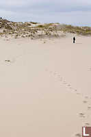Helen Walking Over Dunes