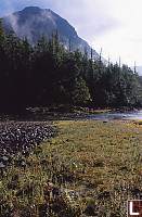 Mouth Of Blee Creek