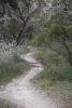 Ridgewalk Trail