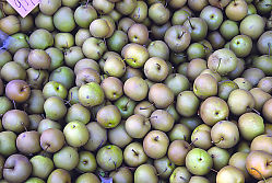Spotted Apples