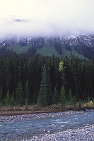 Fog On Top Of Hill