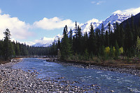 Suspension Bridge