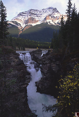 Athabasca Falls