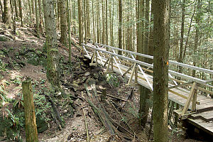 Lesters Bridge Over Abeland Canyon