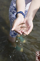 Nara With Small Fish