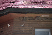 Barn Swallows At The Lodge At Bow Lake