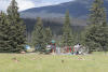 Elk Near The Playground