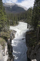 Sunwapta Falls