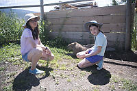 Sitting With Capybara