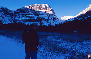 Mark In Alpine Area