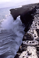 Crashing Wave at Sea Arch