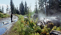 Steaming Logs