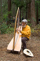 Playing Harp In Forest