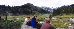 Brandywine Meadows