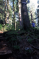 Sign to Lost Lake