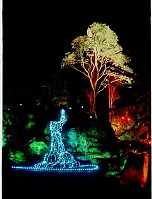 Tree and Fountain