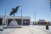 Grey Whale Statue At Puerto Adolfo Lopez Mateos