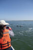 Nara Taking Photos Of Dolphins