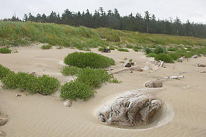Sandy Beach At Guise Bay