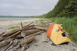 Tent Setup On Beach