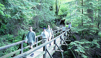 Walking over the Bridge