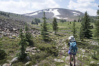 Rock Fields In Meadows