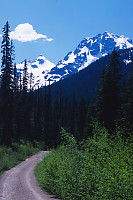 Road Toward Cerise Creek