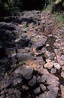 Columnar Basalt Trail