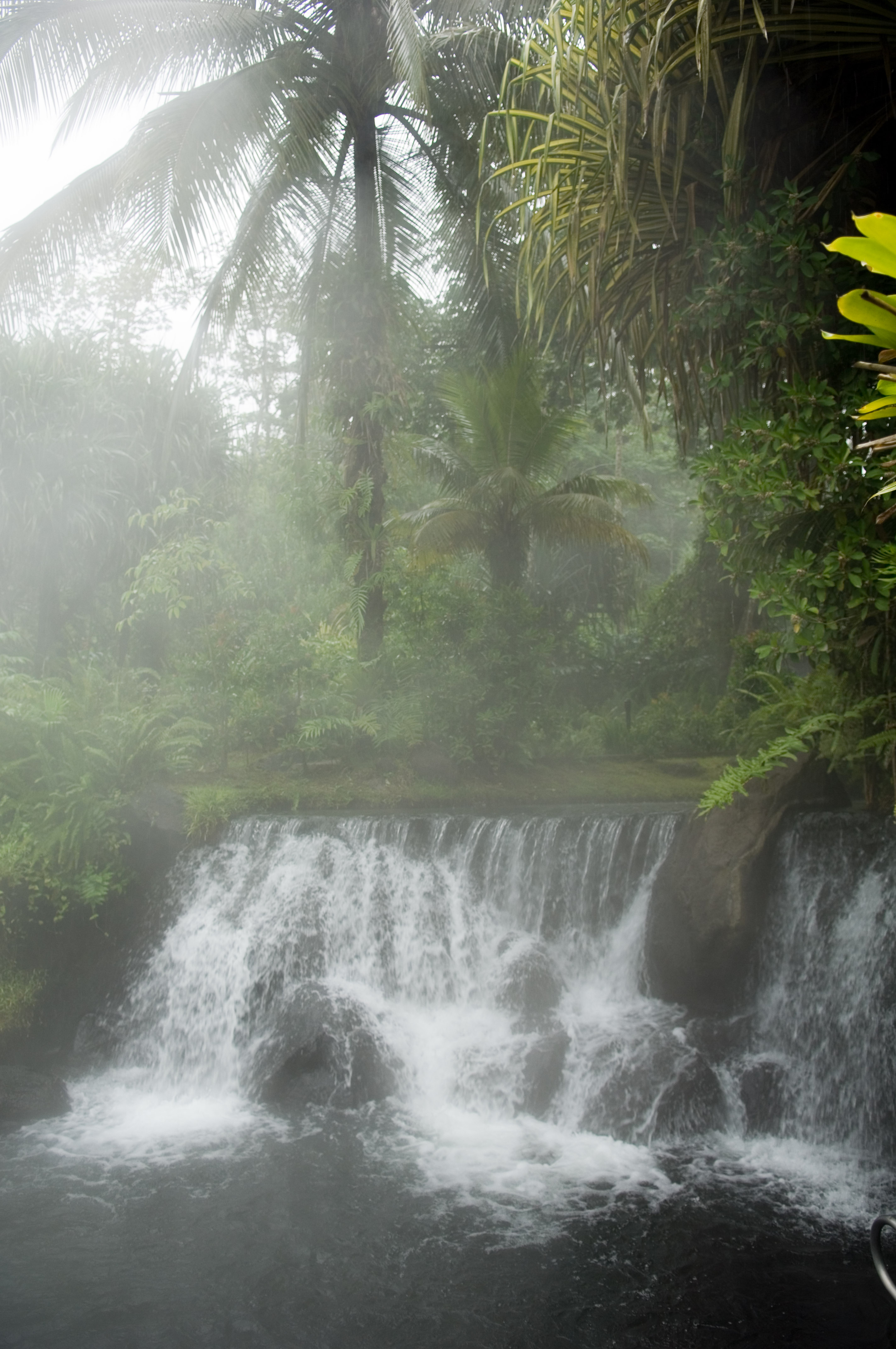 hot spring , Costa Rica , palm , waterfall
