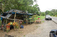 Road Side Fruit Stand