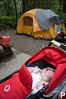 Nara Sleeping In Her Bassinet