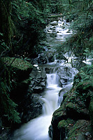 Cascade of Waterfalls