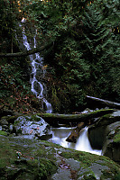 Smaller River Feeding Main