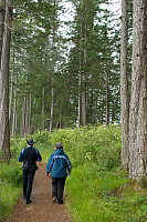 Walking On Rebecca Spit