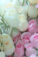 Costco wedding flowers vancouver