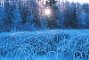 Sun Low Over Horizon