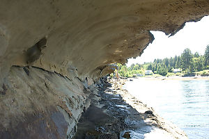 Standing Under Gallery