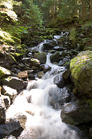 Creek With Bright Spots