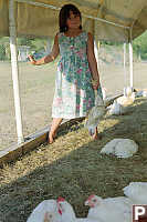 Kayla Stacking Chickens