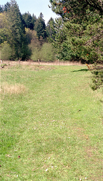 mainimage