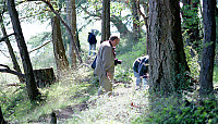 Peter in the Forest