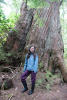 Nara With Old Growth Cedar