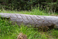 Eagle Wing Pole On Ground