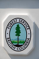 Forest Service Badge