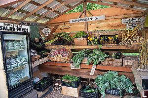 Gibsons Farm Stand